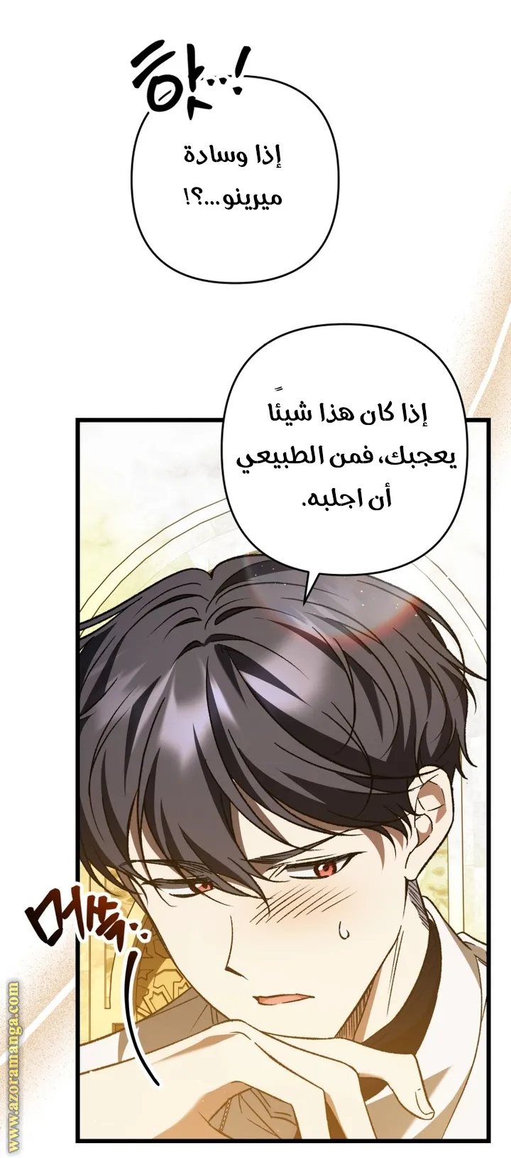 الصفحة 41