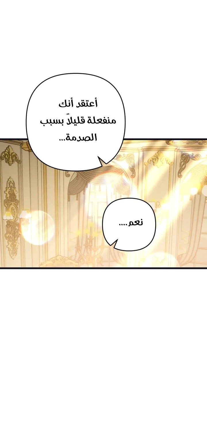 الصفحة 29