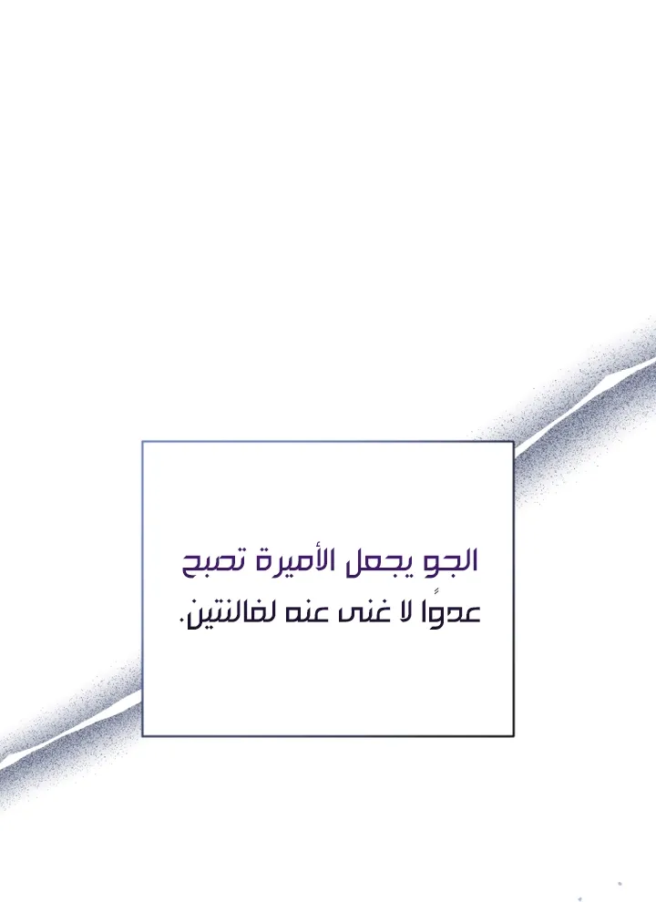 الصفحة 44
