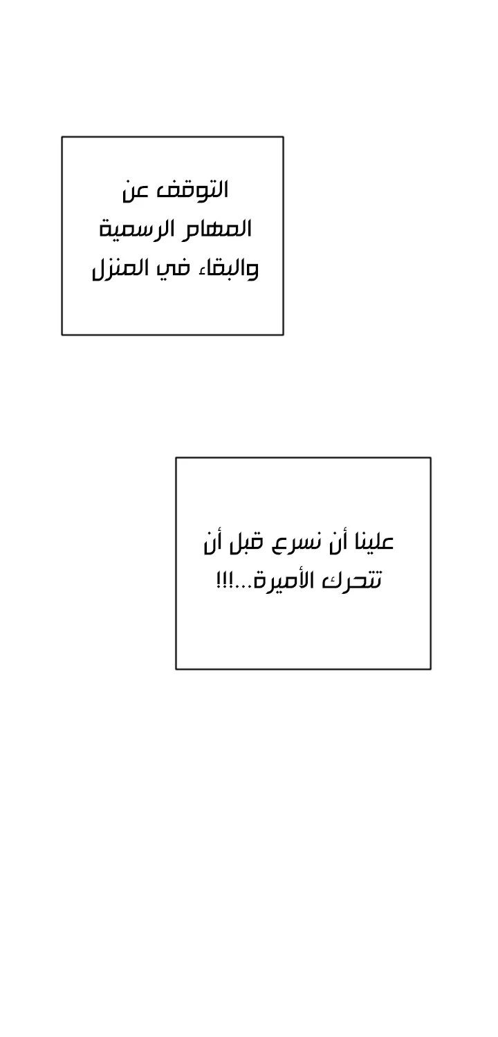 الصفحة 49