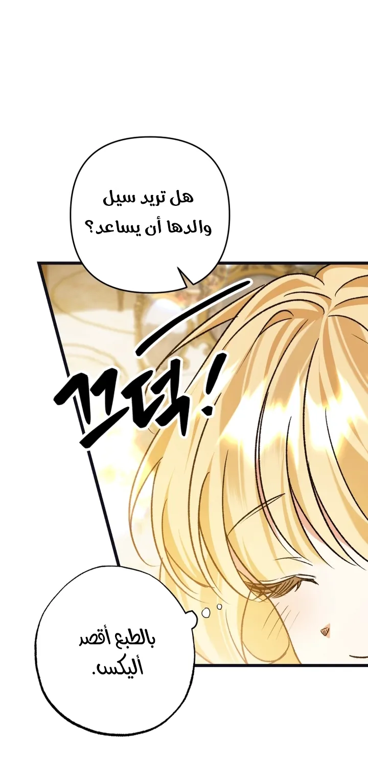 الصفحة 52