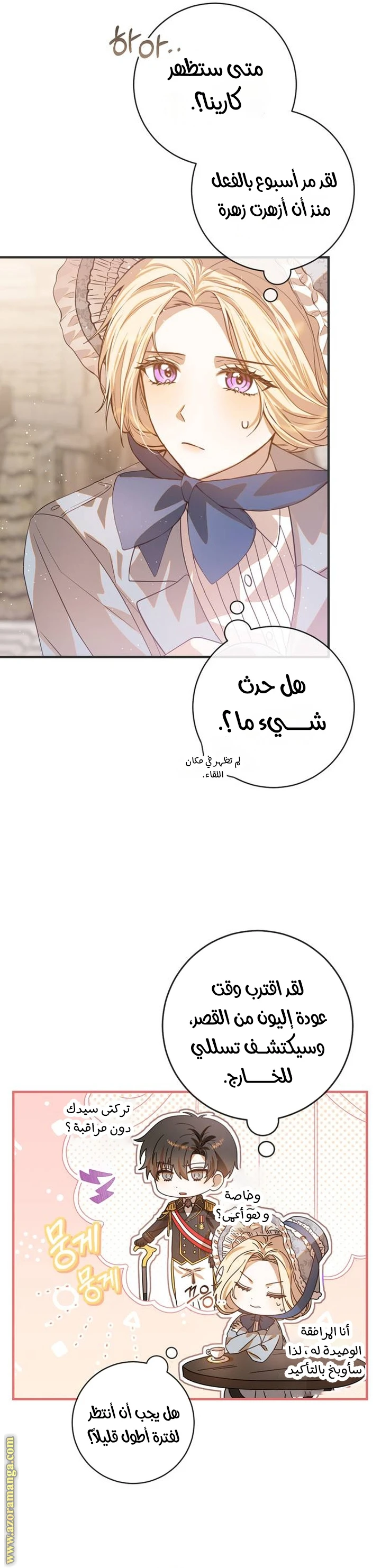 الصفحة 21