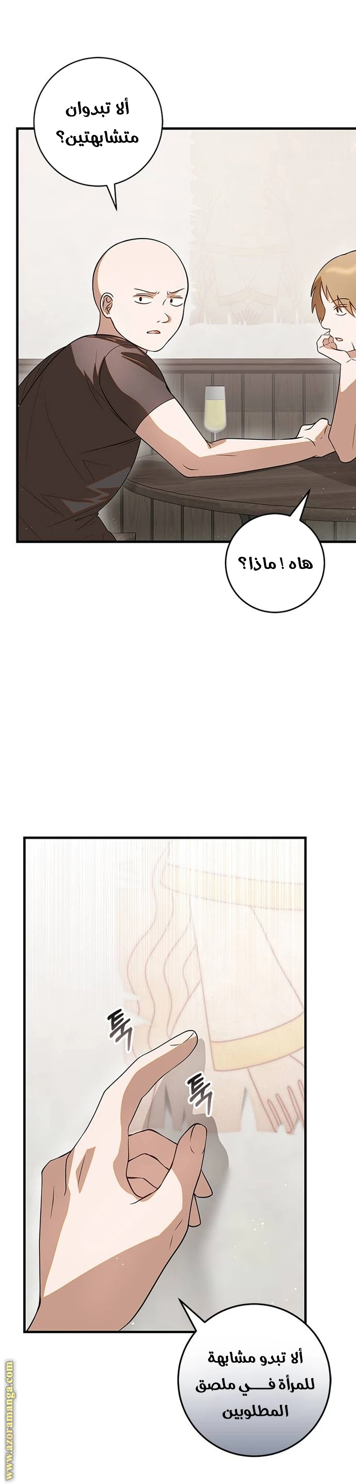 الصفحة 25