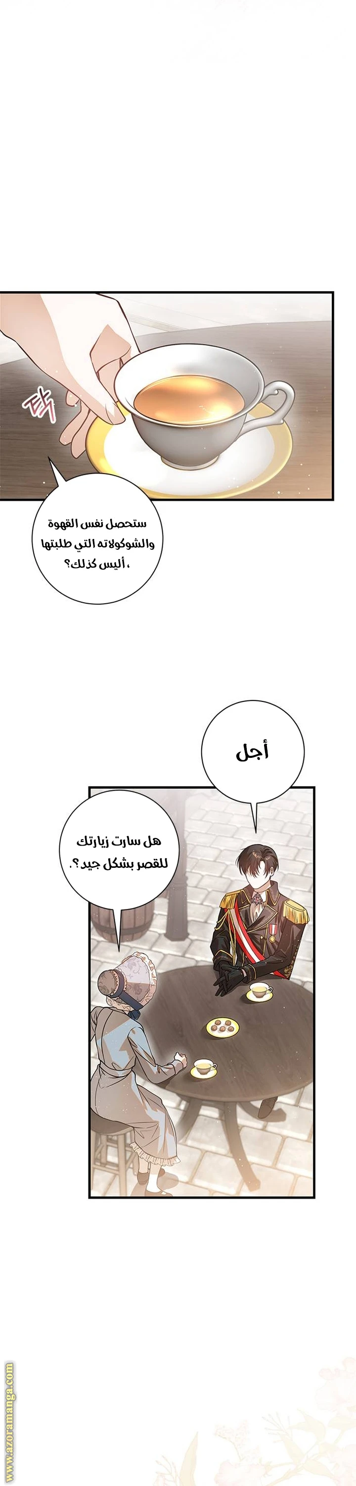 الصفحة 43