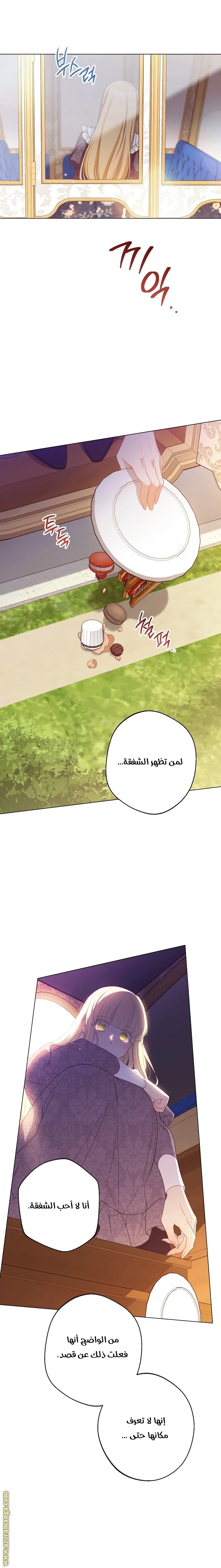 الصفحة 17