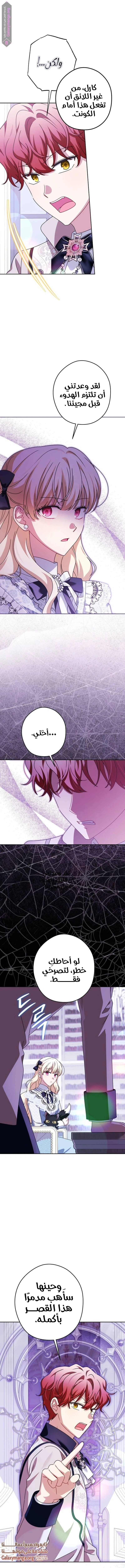 الصفحة 13