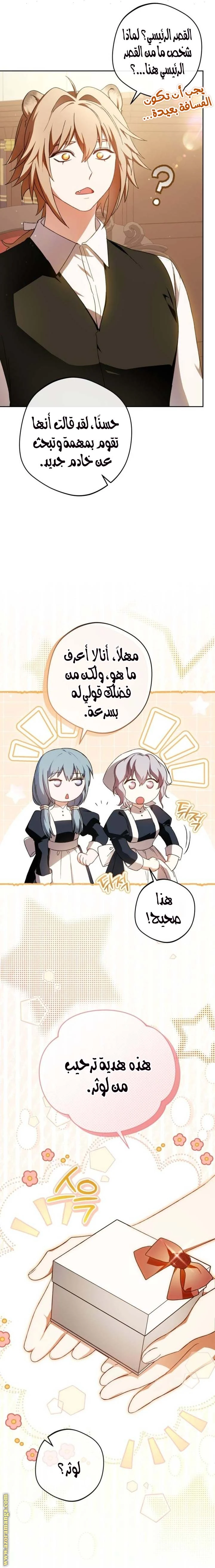 الصفحة 13