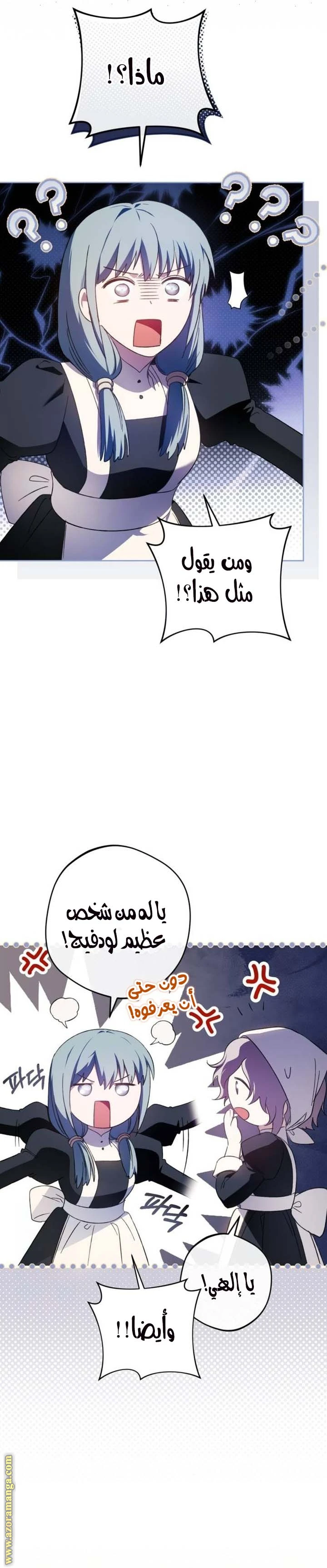 الصفحة 17