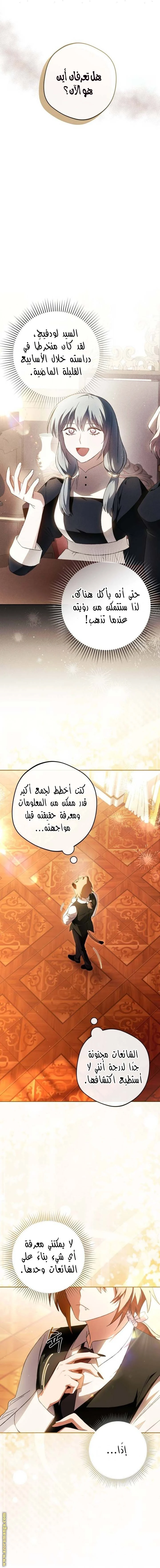 الصفحة 26