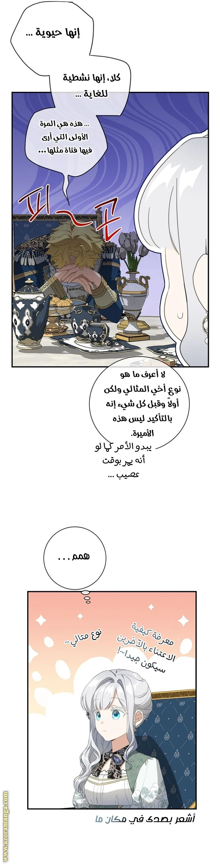 الصفحة 17