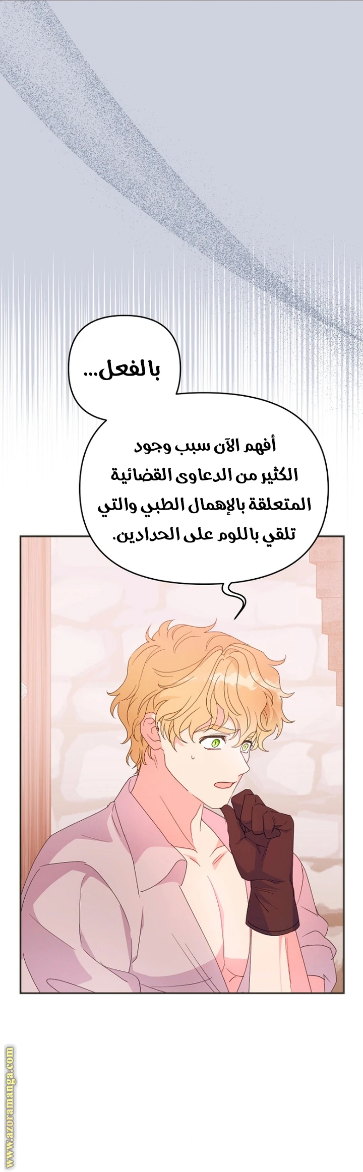 الصفحة 17
