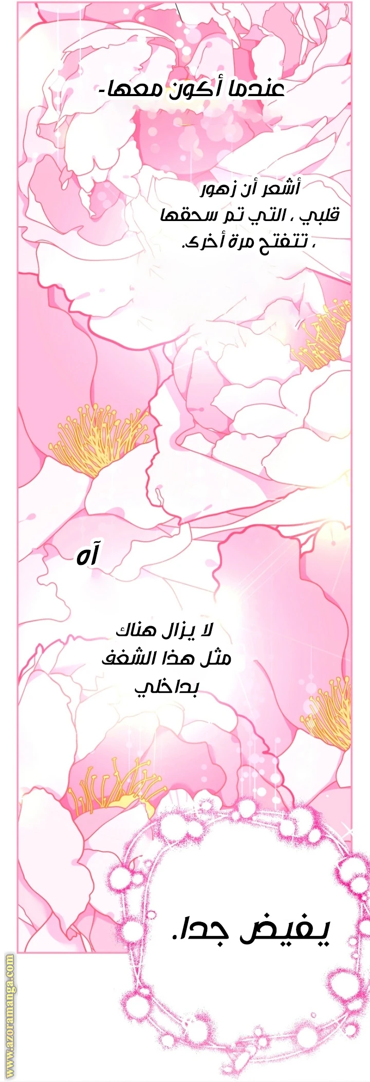 الصفحة 34