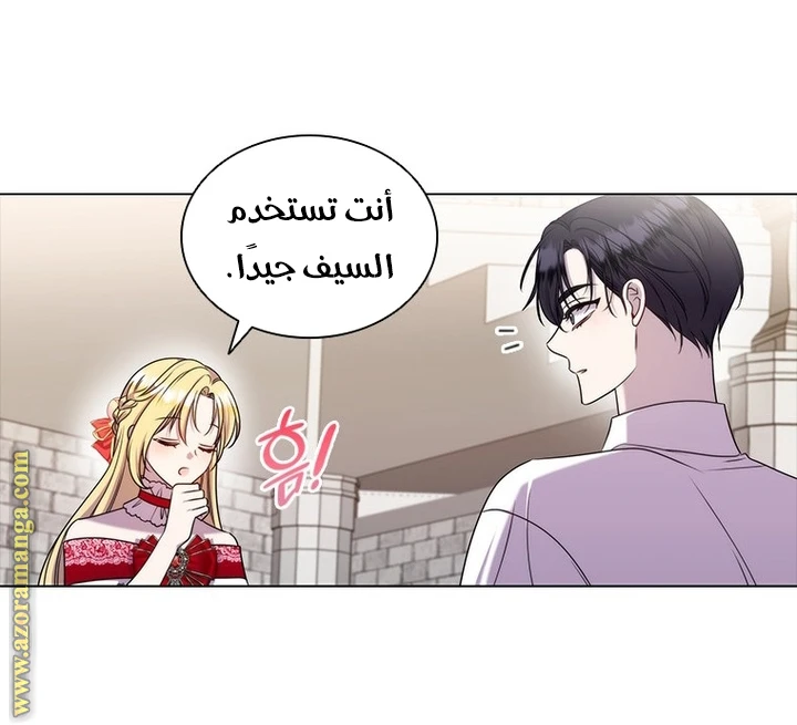 الصفحة 29