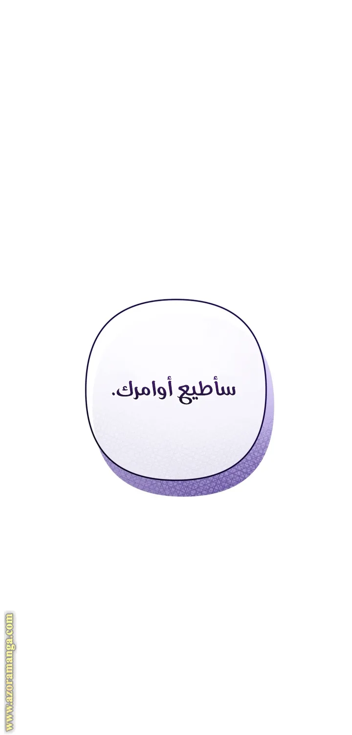 الصفحة 28