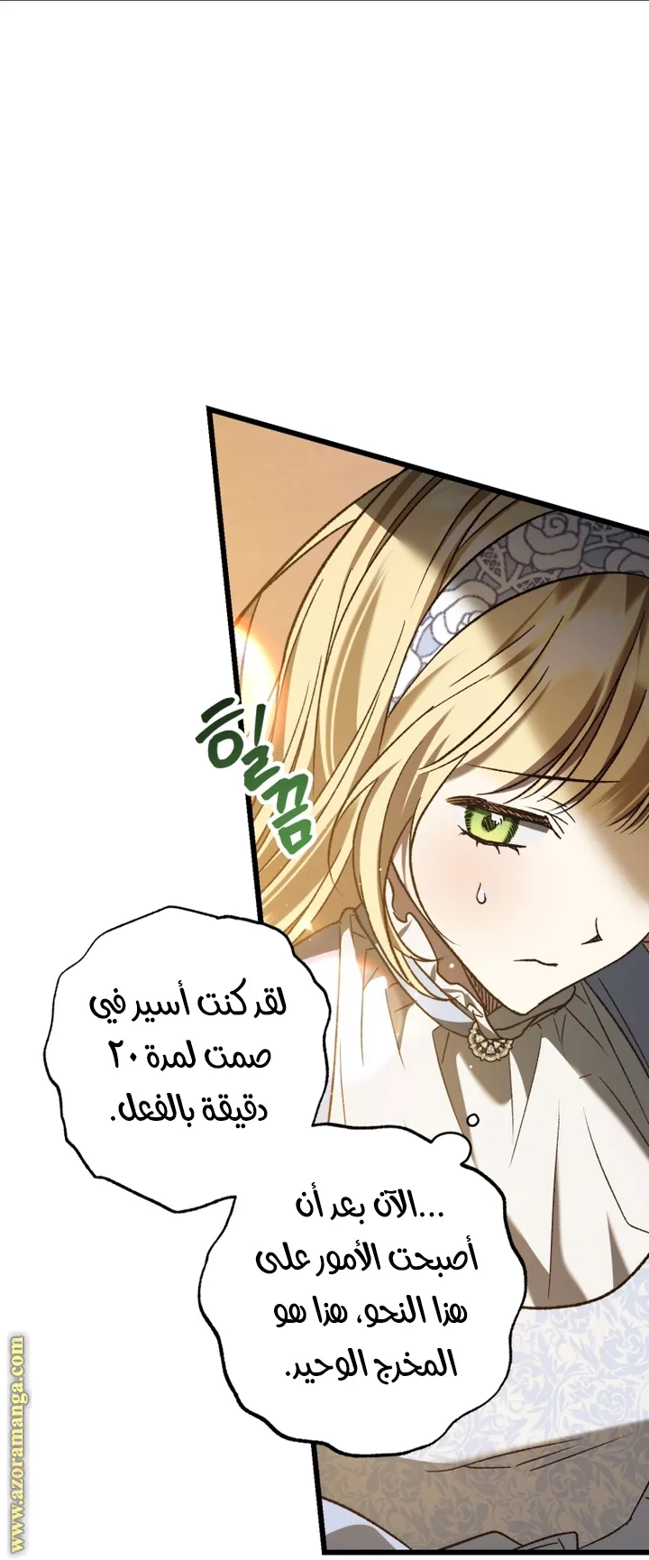 الصفحة 30