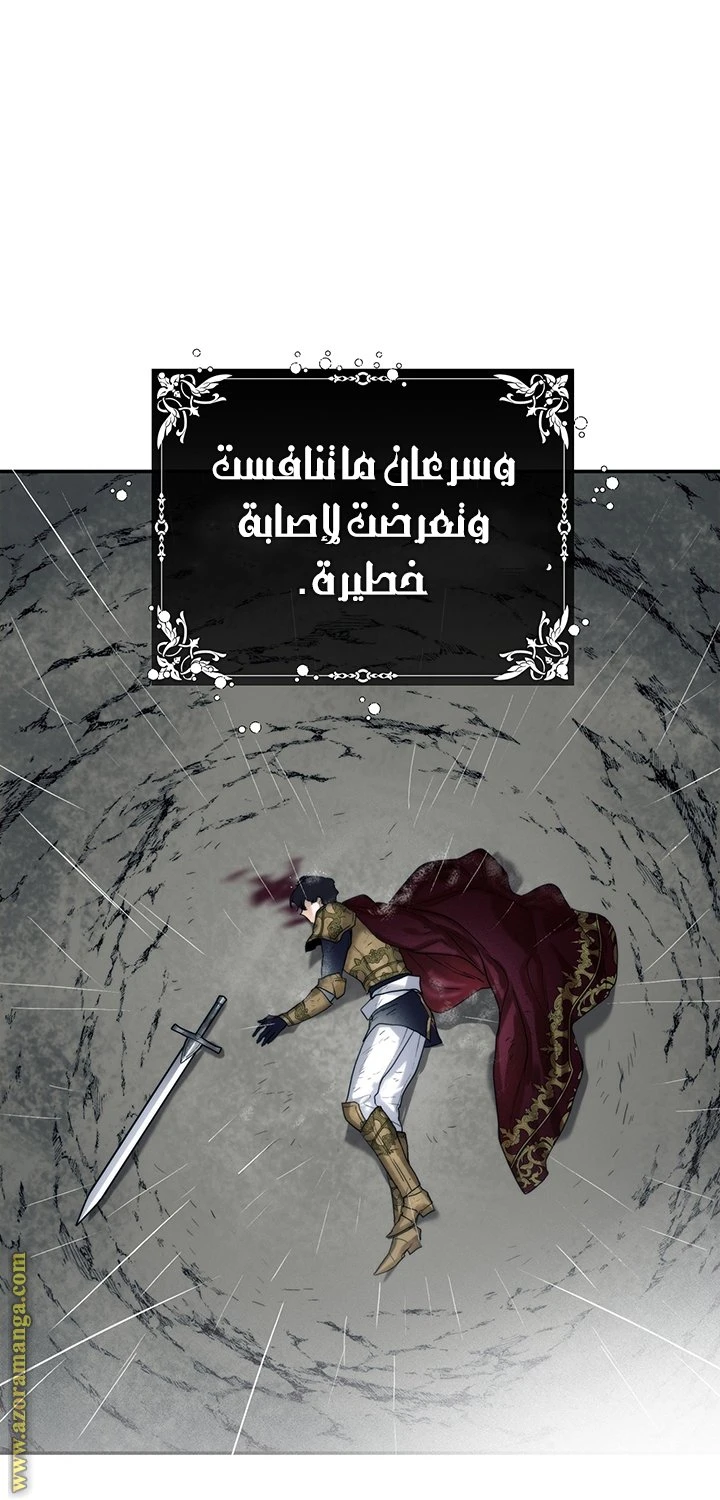 الصفحة 26