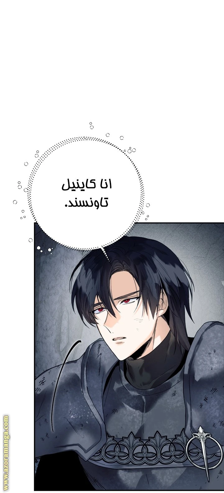 الصفحة 29