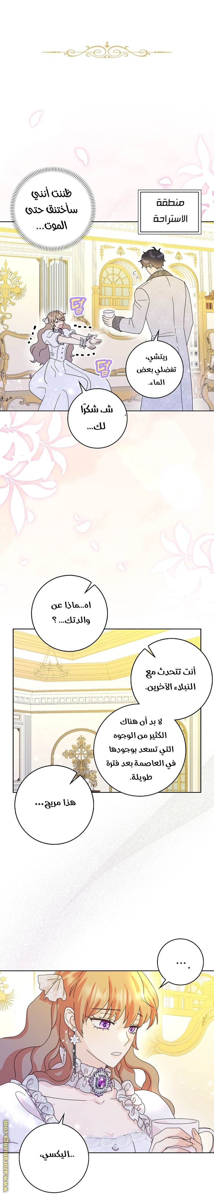 الصفحة 24
