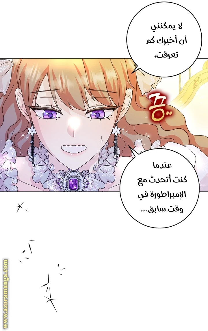 الصفحة 26