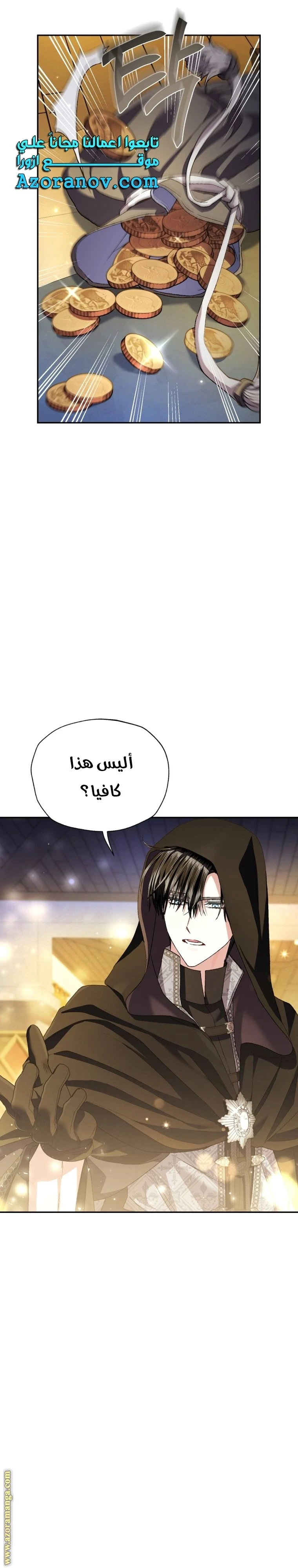 الصفحة 13