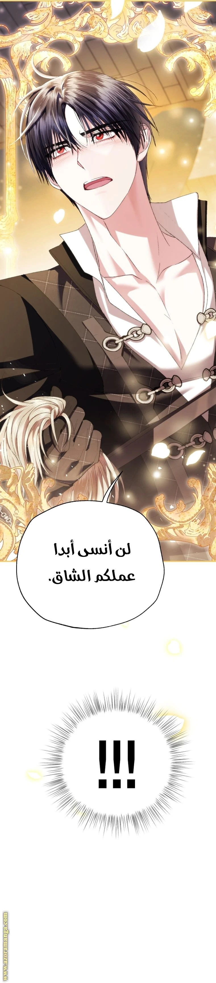 الصفحة 34