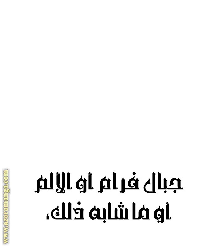 الصفحة 79
