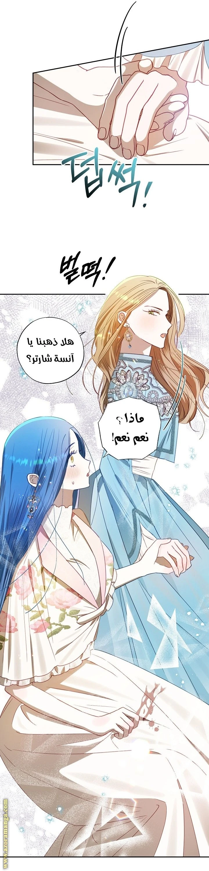 الصفحة 17