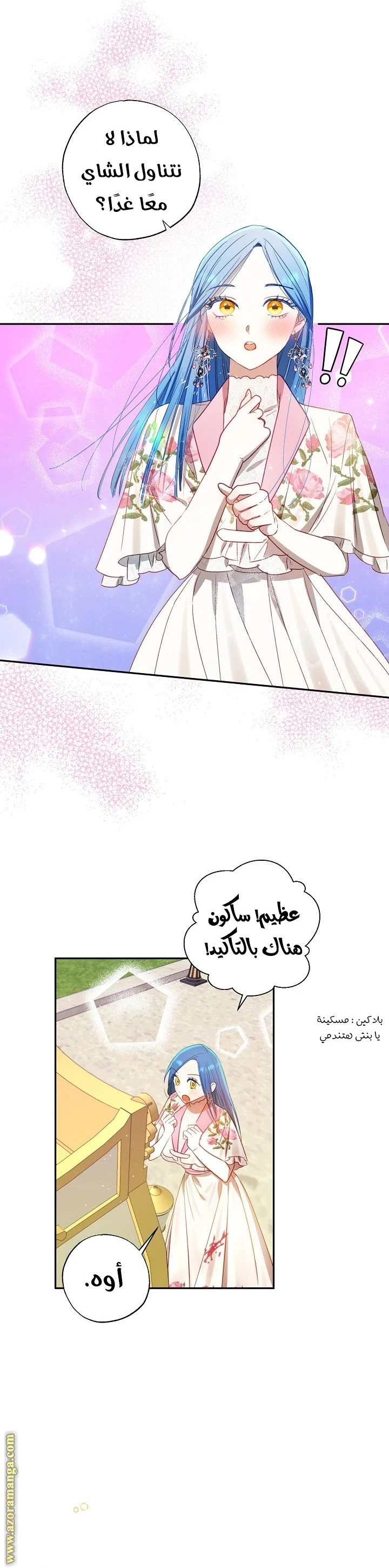 الصفحة 30