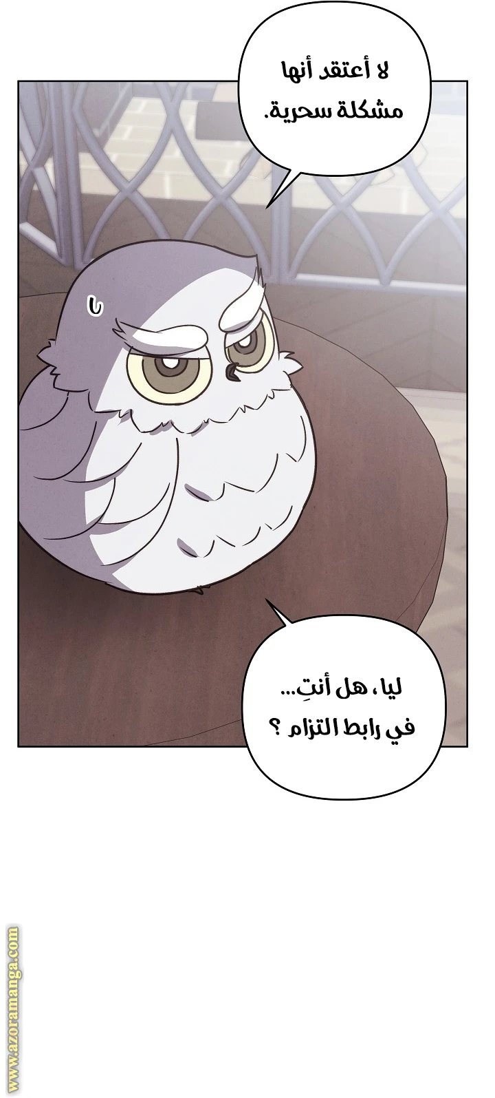 الصفحة 16