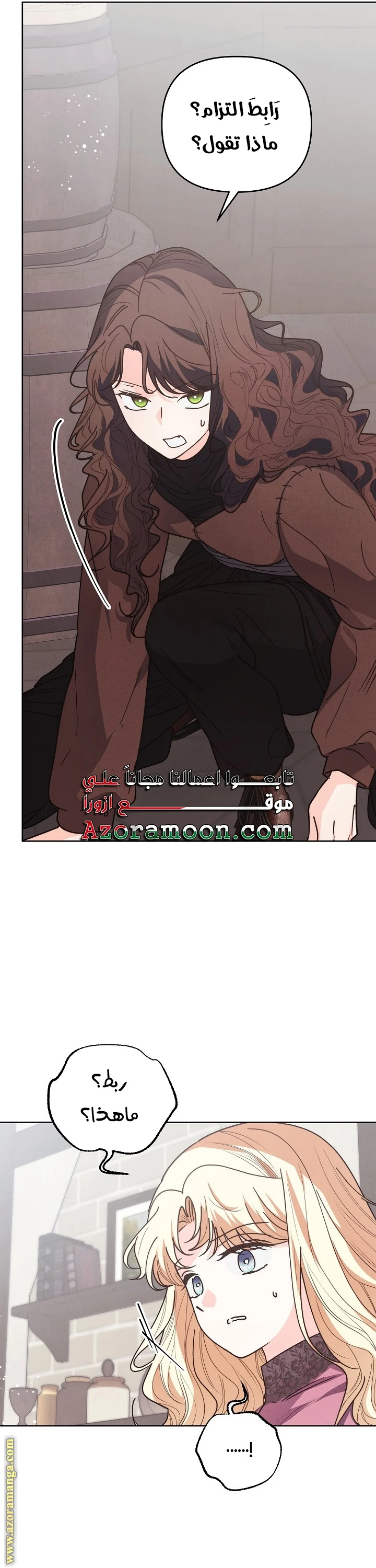 الصفحة 17