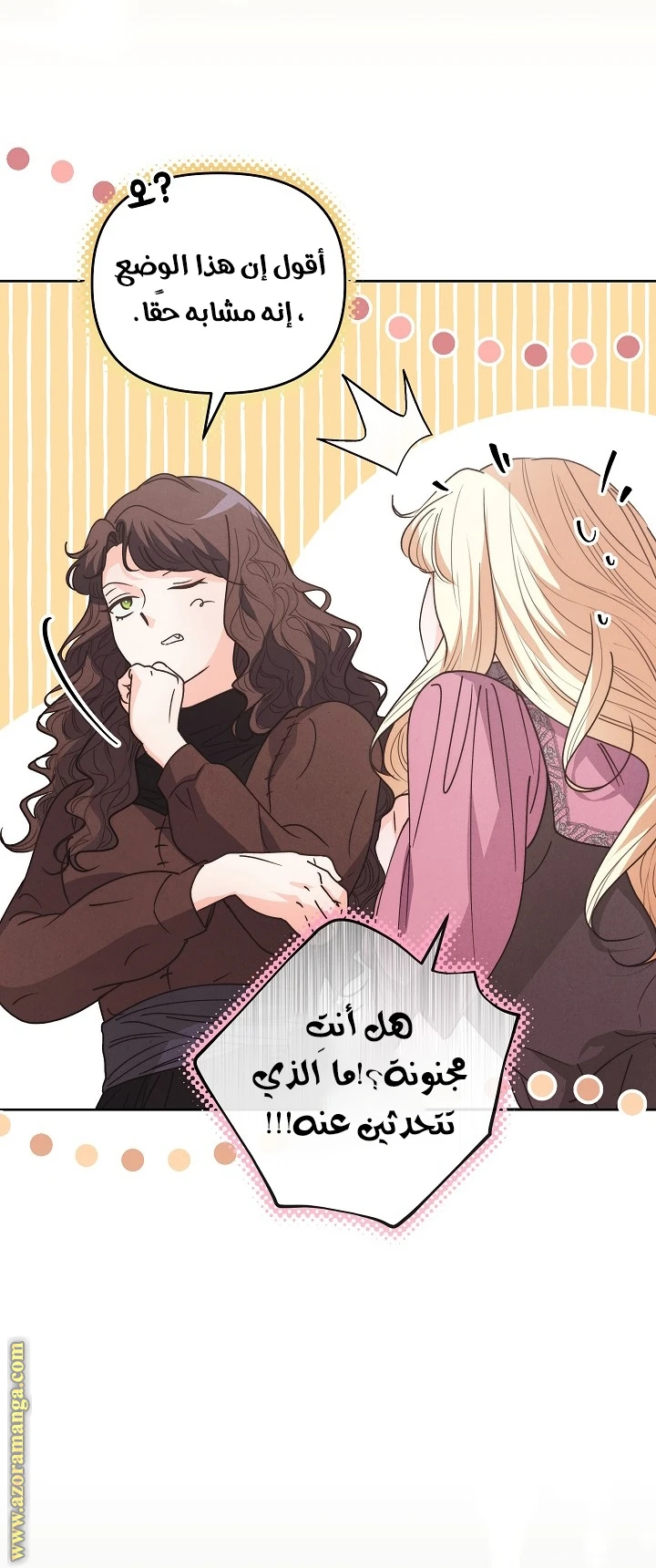 الصفحة 29