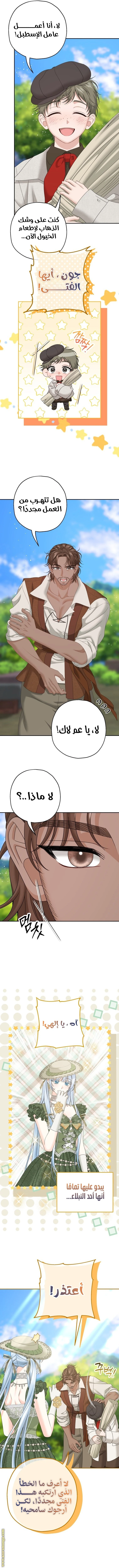 الصفحة 8