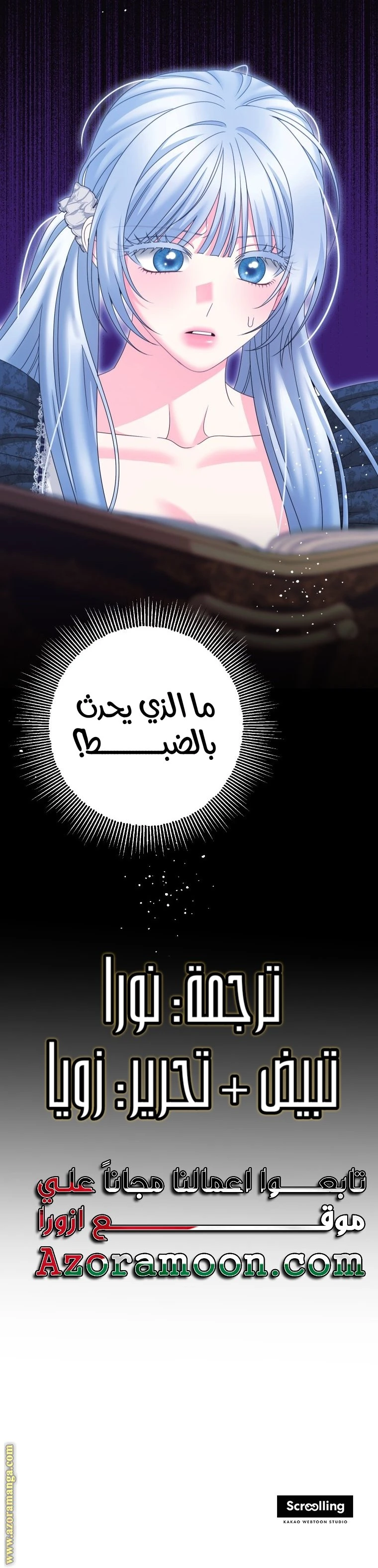 الصفحة 13