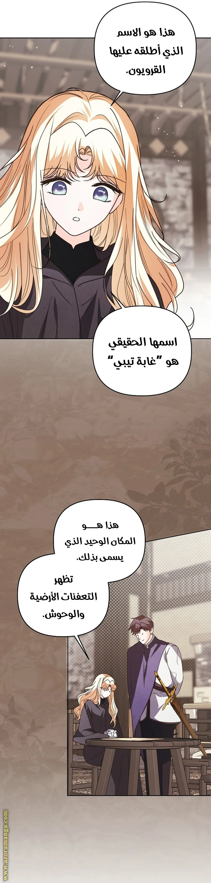 الصفحة 11