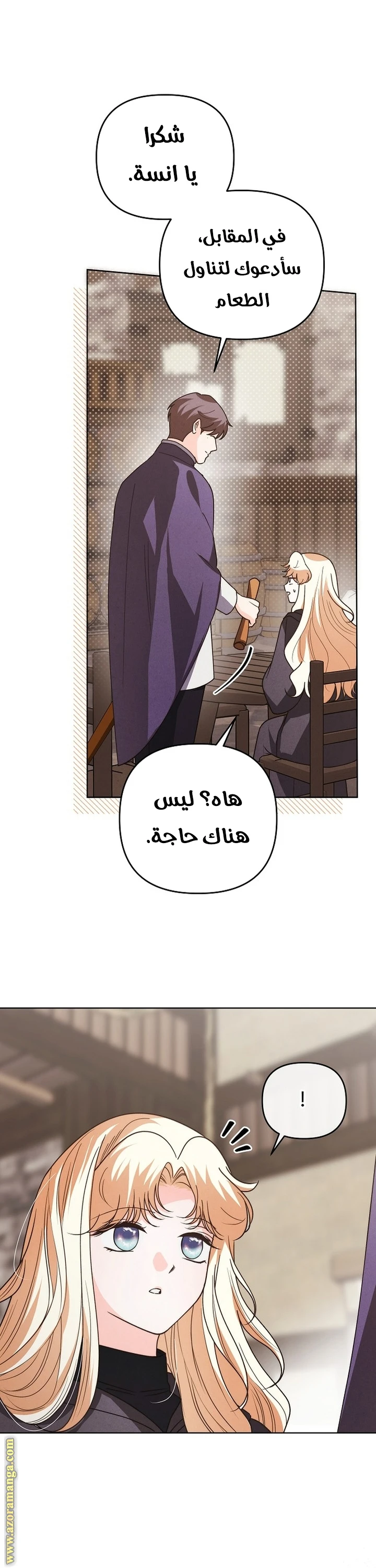 الصفحة 17