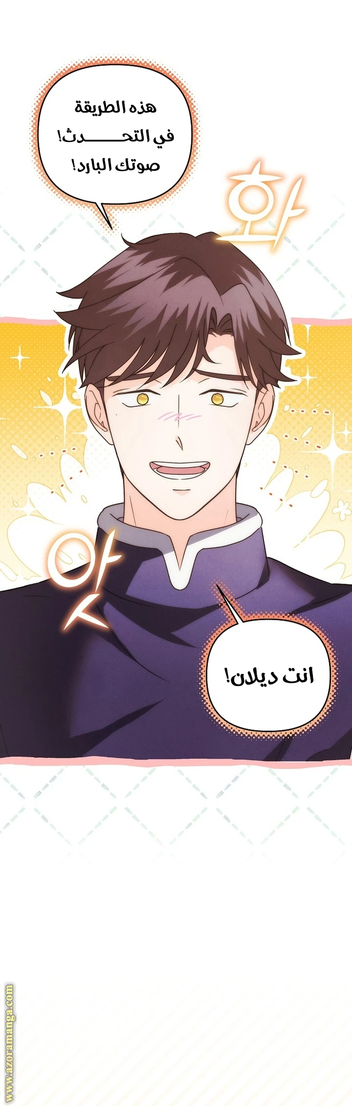 الصفحة 23