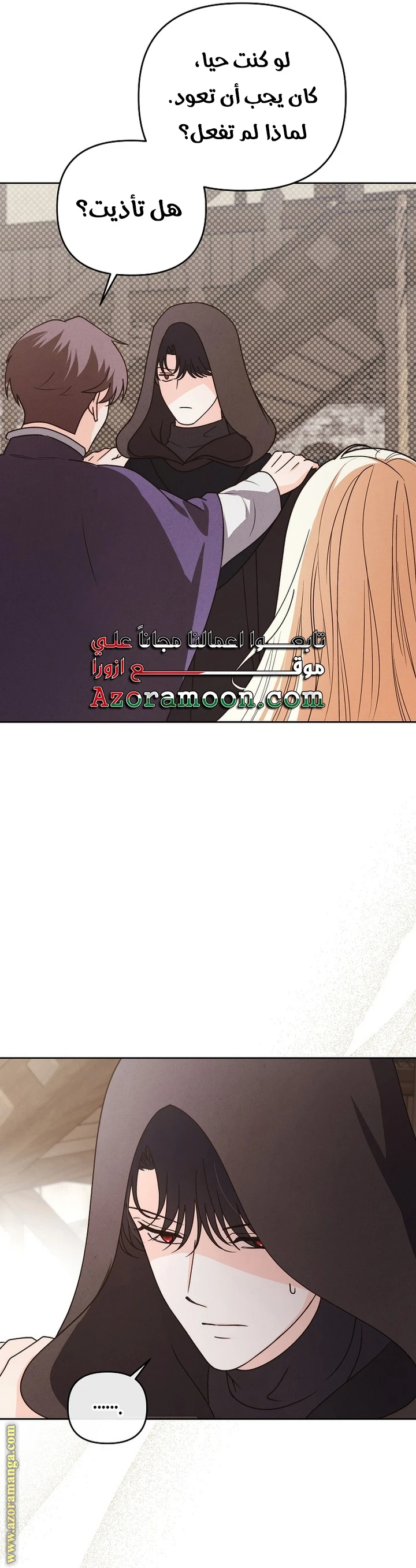 الصفحة 25