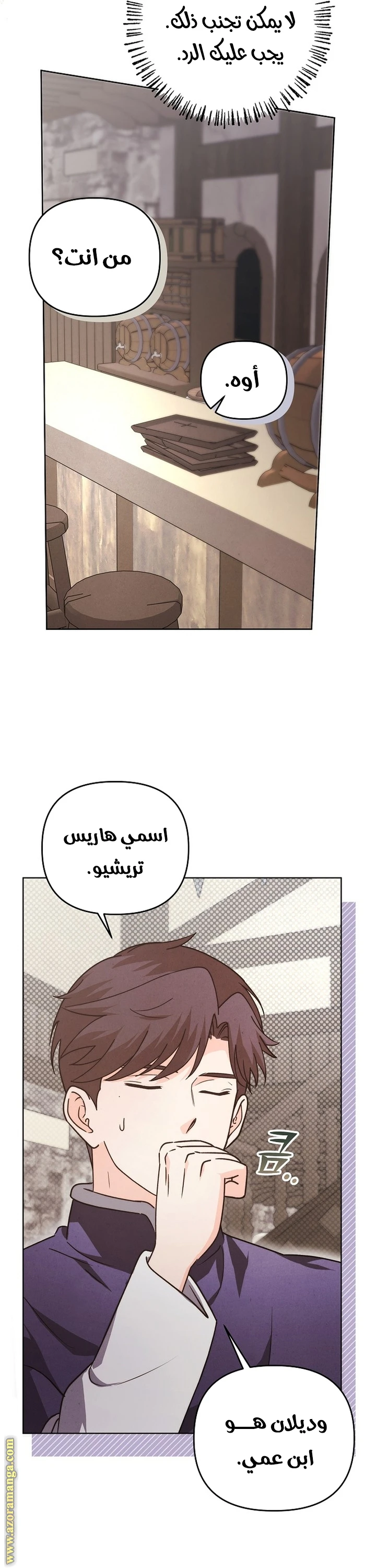 الصفحة 27
