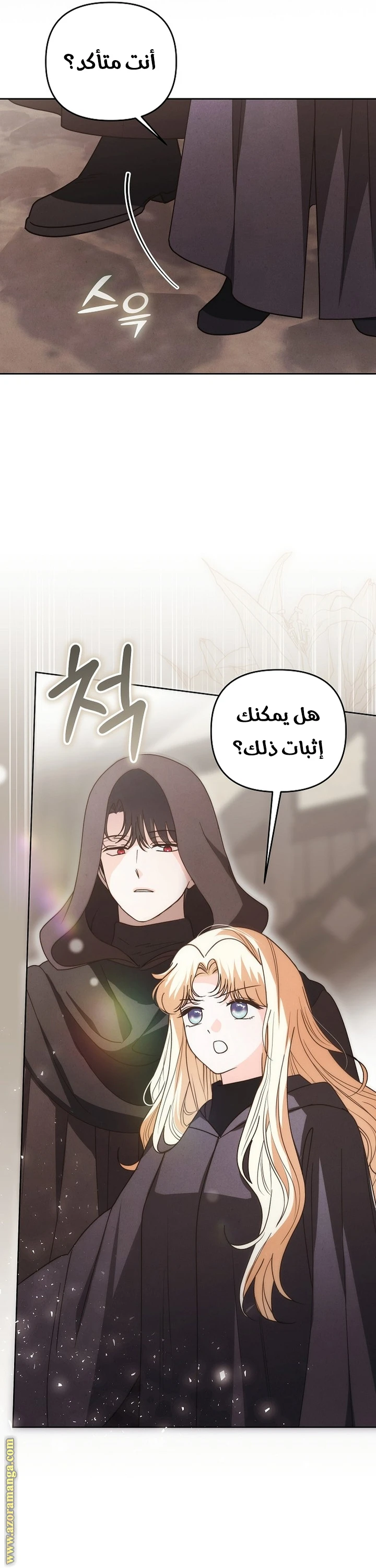 الصفحة 29