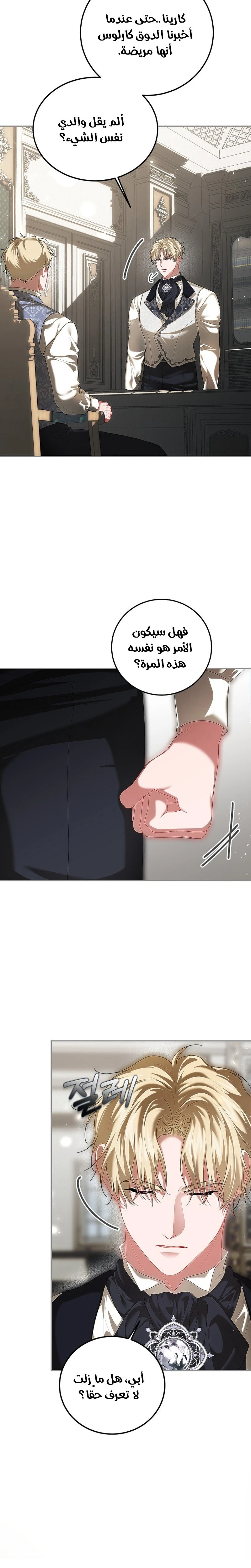 الصفحة 17