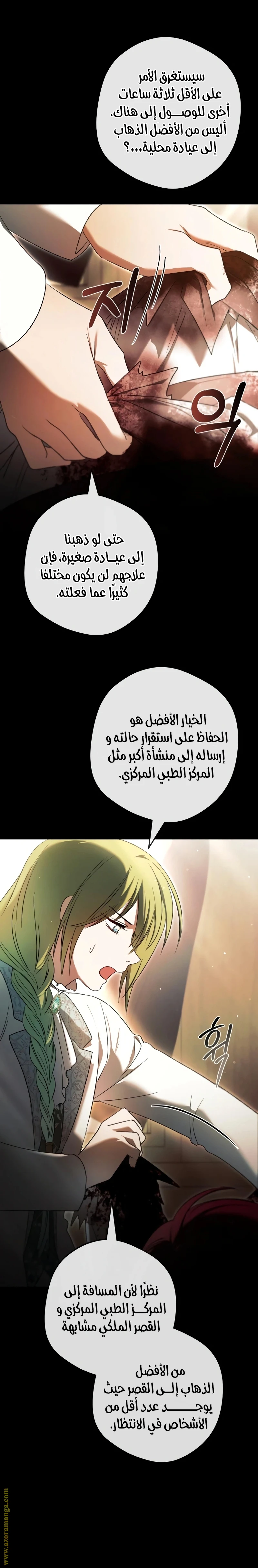 الصفحة 13