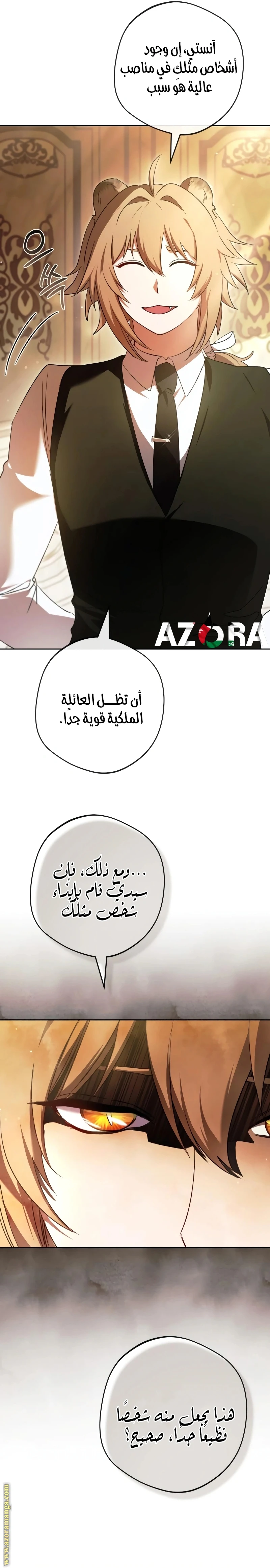 الصفحة 17