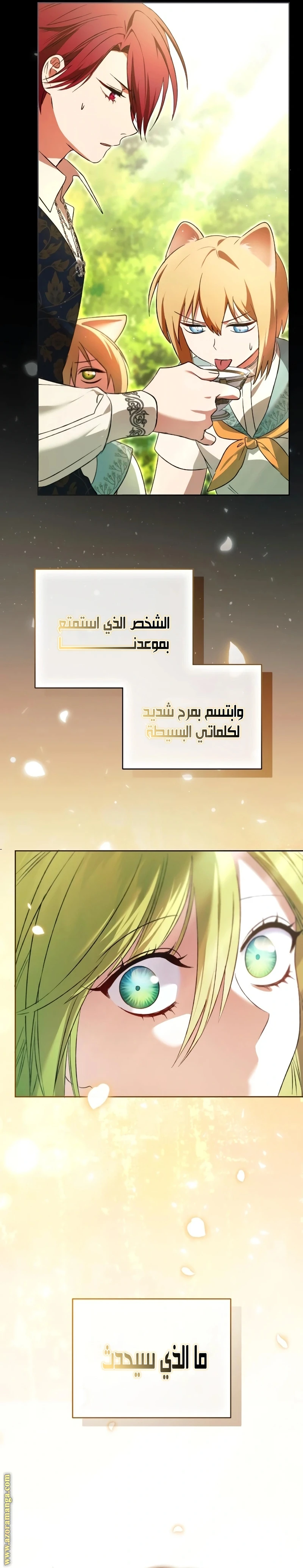 الصفحة 29