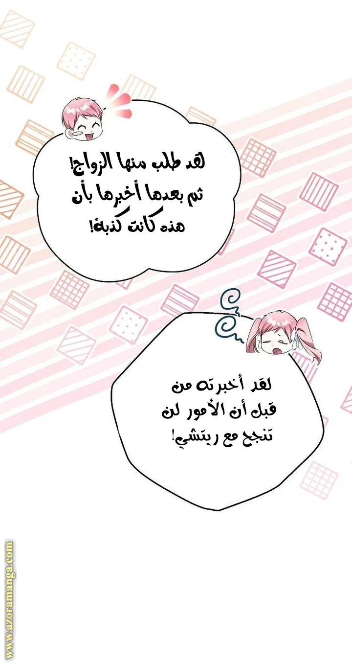 الصفحة 26