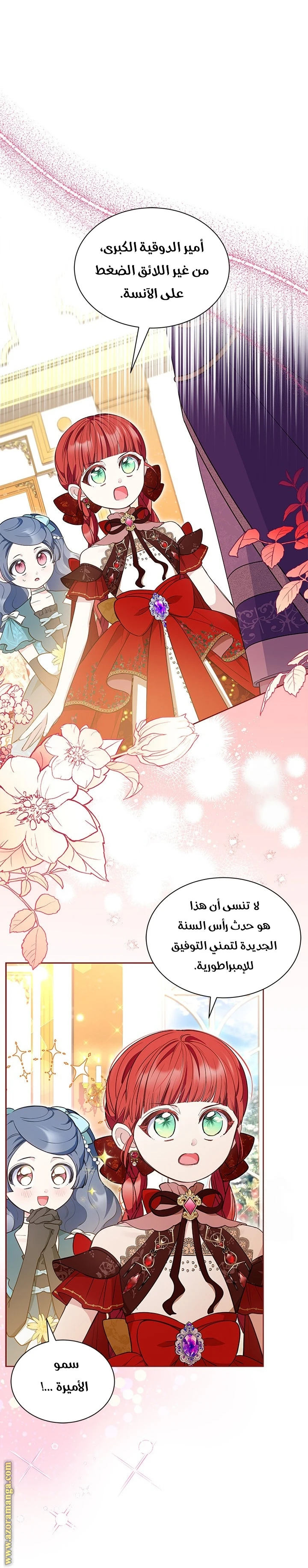 الصفحة 17