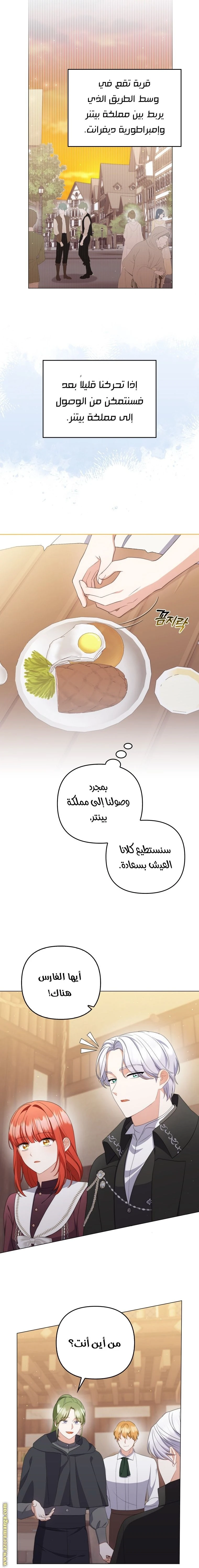 الصفحة 13