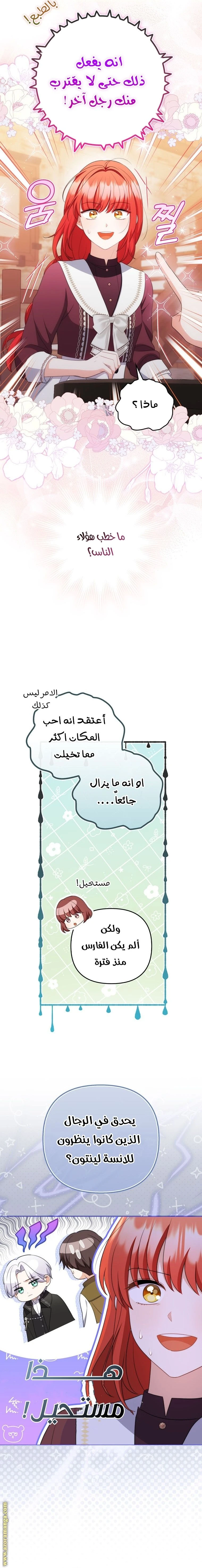 الصفحة 19