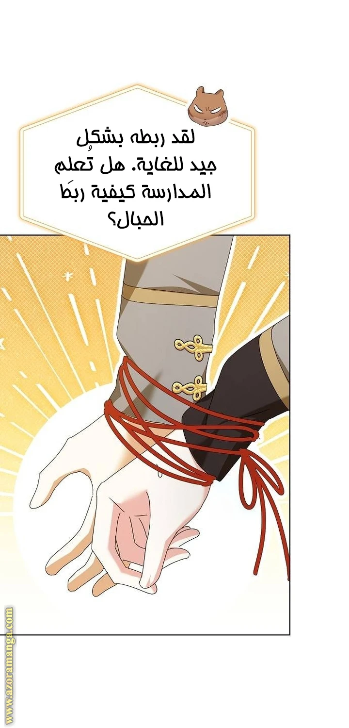 الصفحة 31