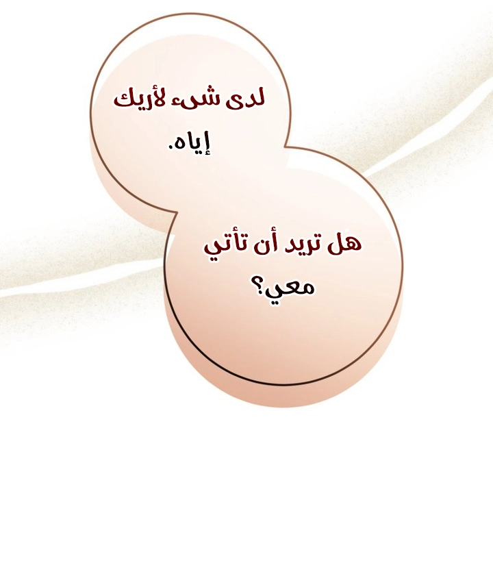 الصفحة 48