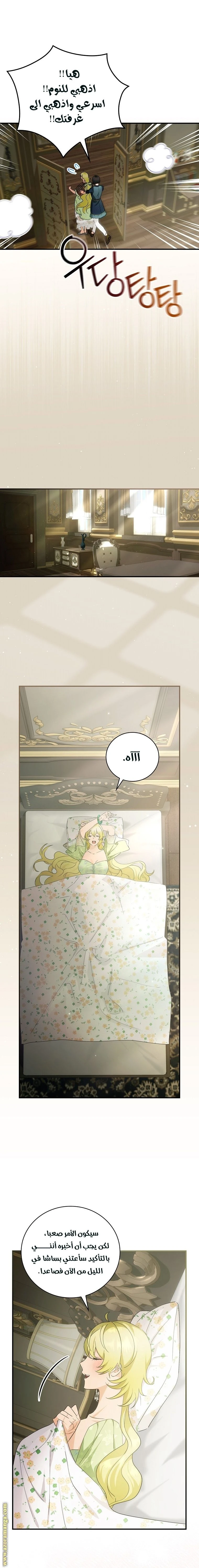 الصفحة 14
